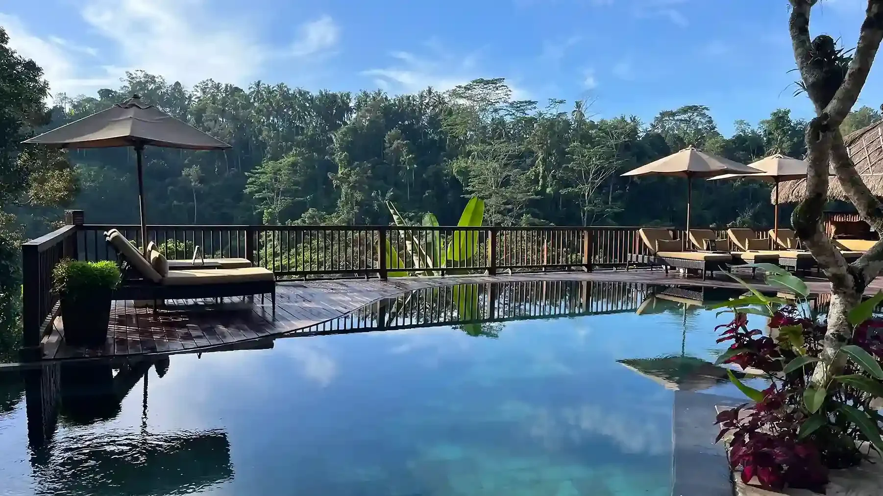 Villa pool deck surrounded by jungle in Bali